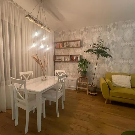 Joy's Cluj-Napoca
